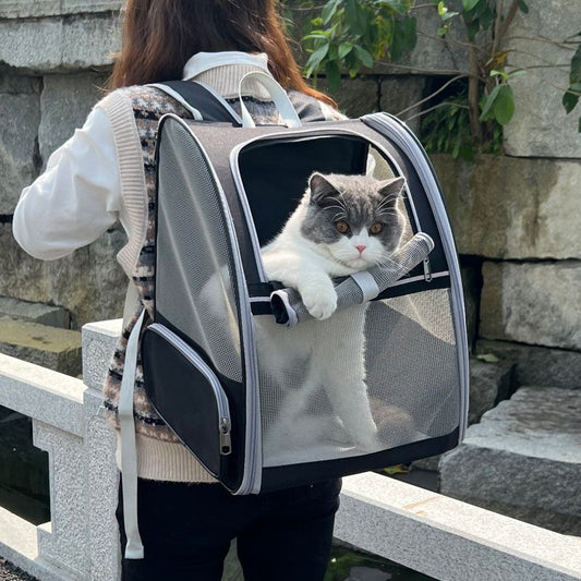 Black Breathable Pet Carrier Backpack - 35 x 29 x 41 cm Oxford Fabric Travel Bag with Mesh Ventilation, Structured Support and Plush Mat for Cats and Small Dogs