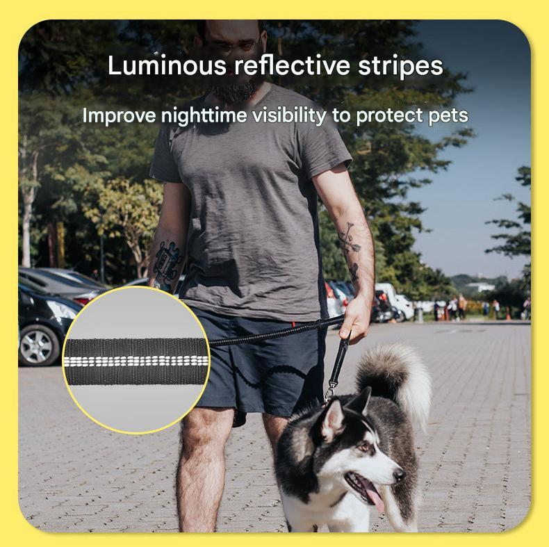 Orange Shock Absorbing Dog Leash with Reflective Stitching - 135cm for Small to Large Dogs