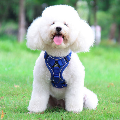 Blue Reflective Mesh Dog Harness and Leash Set - Adjustable No-Pull Vest - L