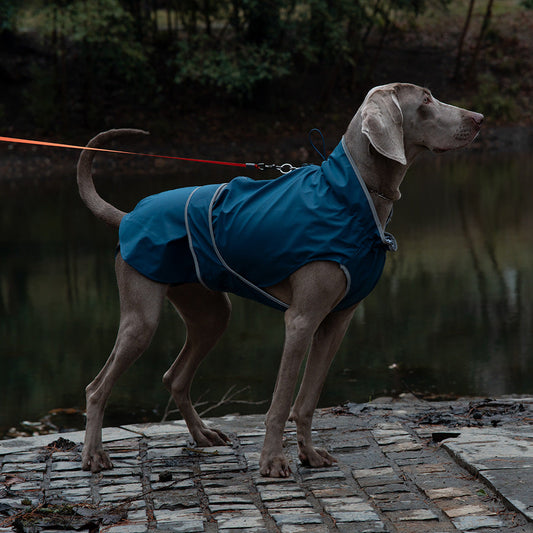 40# Blue Waterproof Reflective Dog Raincoat for Small to Large Dogs