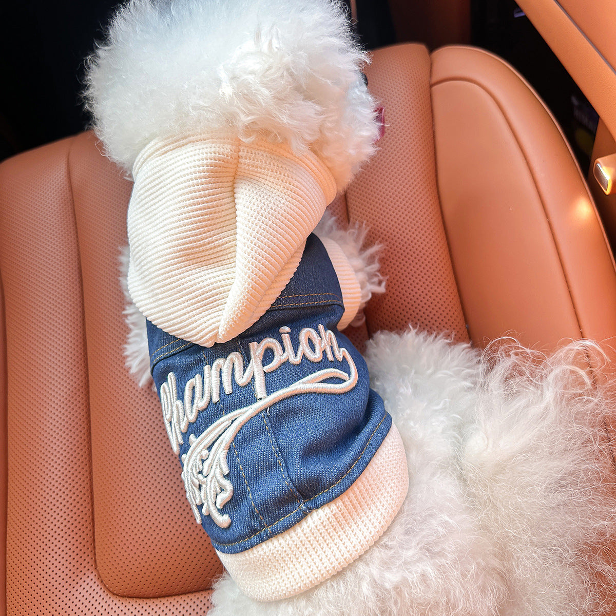 XS-Approximately 2kg Champion Cowboy Jersey Denim Vest Jacket for Dogs and Cats - Spring, Summer, and Autumn Wear