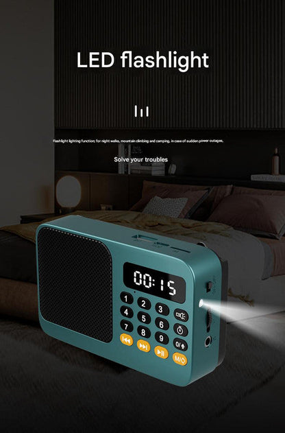 Portable Digital Music Player & FM Radio,4 Playback Modes, LED Flashlight(Gray)