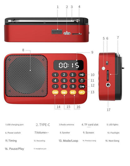 Portable Digital Music Player & FM Radio,4 Playback Modes, LED Flashlight(Gray)