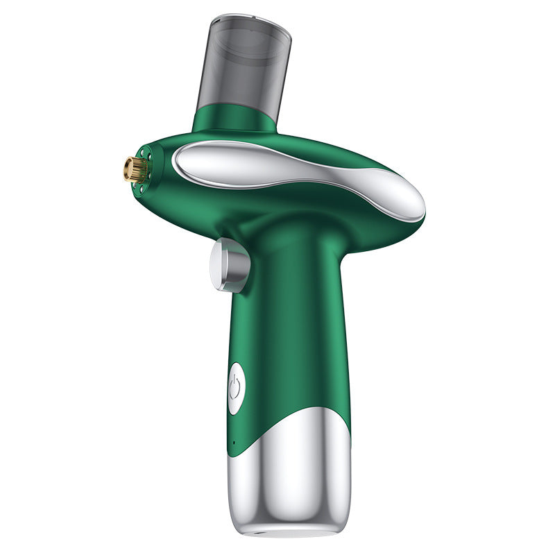 Portable Nano Facial Steamer & Oxygen Sprayer with Red/Blue Light Therapy(green)