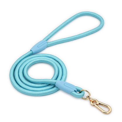 Blue Durable Nylon P-Collar Dog Training Set - Heavy Duty Leash & Martingale Collar (Size : M)