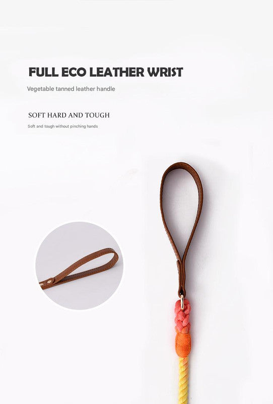 Premium Leather Pet Collar and Leash - Soft, Strong Braided Rope (Green - Size S)