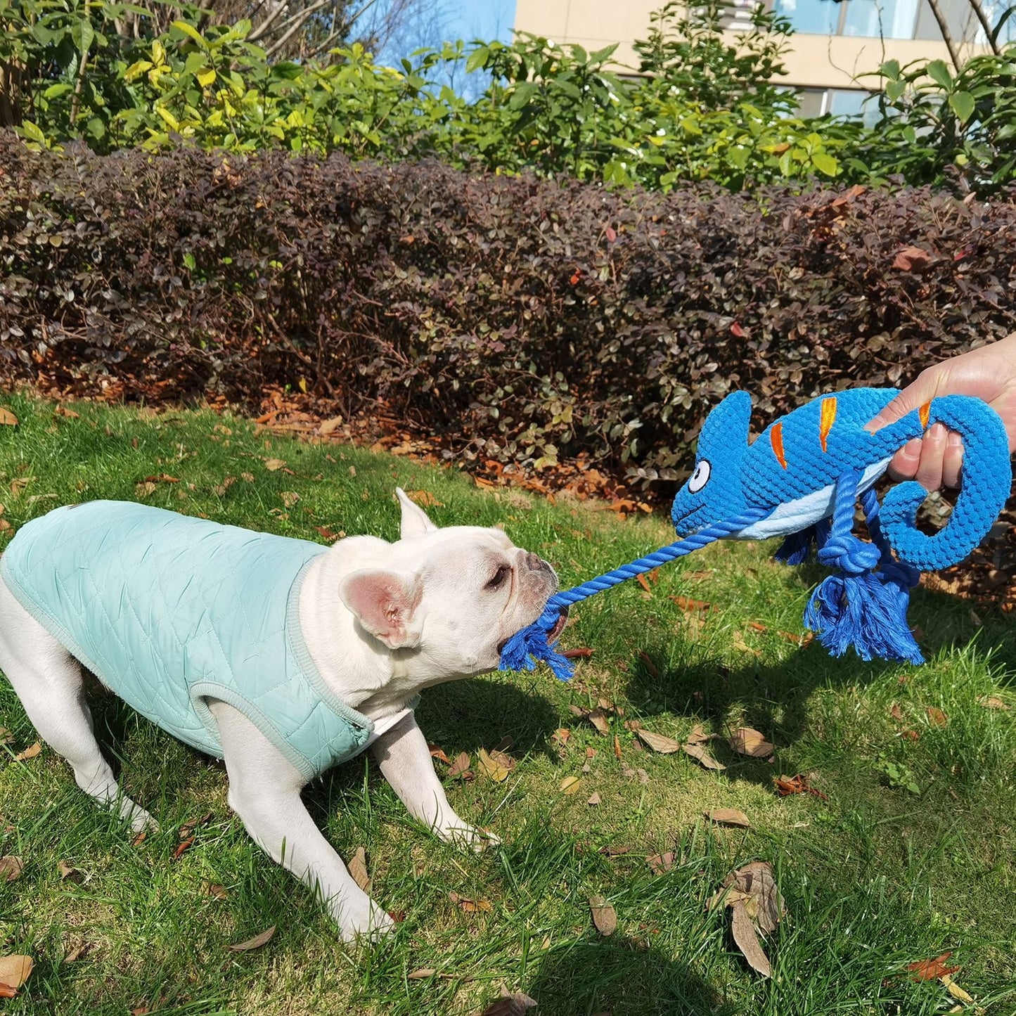 2 Pcs Pink Interactive Plush Chameleon Dog Toy with Squeaker & Rope Legs - Durable Chew Toy for Medium/Large Dogs, Teeth Cleaning Texture, Machine Washable (10.2in)