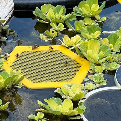 2PCS L 210x180x3.5mm Yellow Floating Bee Saver Waterer - Safe Drinking Platform for Garden Ponds & Bird Baths