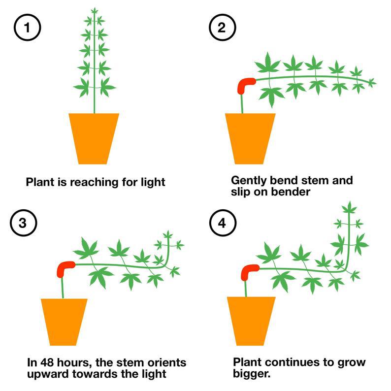 60PCS Green 90-Degree Plant Bender Clips for Low-Stress Training (LST) - Reusable Stem & Branch Trainer for Increased Yields