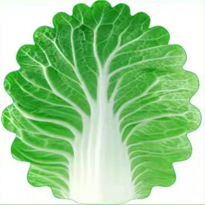 Cute Cabbage-Shaped Fleece Blanket â€“ Fun and Cozy Throw for Naps, Office Use, Air Conditioning, or Baby Swaddling (Green & White)(120cm*120cm)