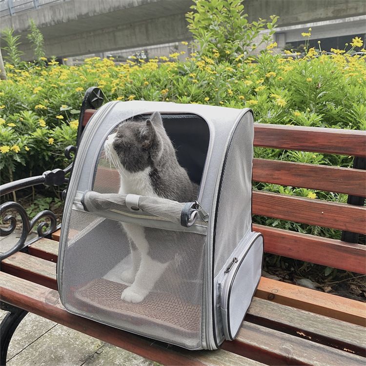 Grey Breathable Pet Carrier Backpack - 35 x 29 x 41 cm Oxford Fabric Travel Bag with Mesh Ventilation, Structured Support and Plush Mat for Cats and Small Dogs