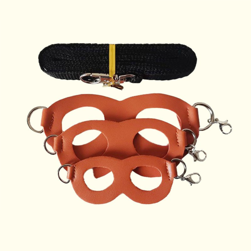 2-Pack Orange Small Mammal Harness Set â€“ 6 Pcs (S/M/L Ã—2) + 2Ã—1.5m Leashes for Secure Outdoor Handling