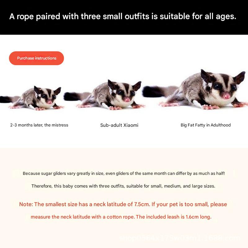 2-Pack Orange Small Mammal Harness Set â€“ 6 Pcs (S/M/L Ã—2) + 2Ã—1.5m Leashes for Secure Outdoor Handling