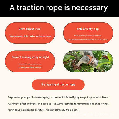 2-Pack Blue Small Mammal Harness Set â€“ 6 Pcs (S/M/L Ã—2) + 2Ã—1.5m Leashes for Secure Outdoor Handling