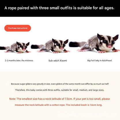 2-Pack dark brown Small Mammal Harness Set â€“ 6 Pcs (S/M/L Ã—2) + 2Ã—1.5m Leashes for Secure Outdoor Handling