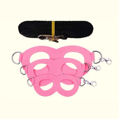 2-Pack Pink Small Mammal Harness Set â€“ 6 Pcs (S/M/L Ã—2) + 2Ã—1.5m Leashes for Secure Outdoor Handling