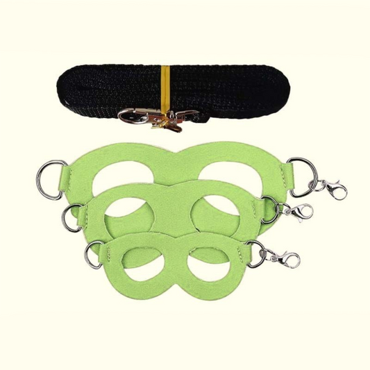 2-Pack Apple green Small Mammal Harness Set â€“ 6 Pcs (S/M/L Ã—2) + 2Ã—1.5m Leashes for Secure Outdoor Handling
