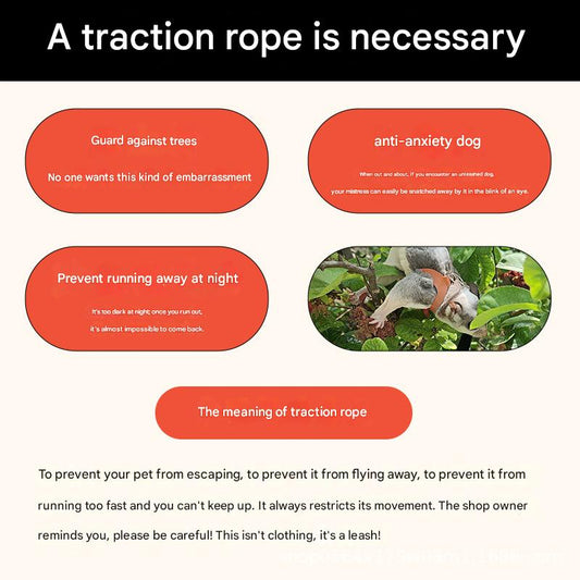 2-Pack Apple green Small Mammal Harness Set â€“ 6 Pcs (S/M/L Ã—2) + 2Ã—1.5m Leashes for Secure Outdoor Handling