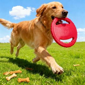 3-Pack Dog Flying Discs â€“ Durable EVA Frisbee Toys in Yellow, Blue & Red for Training and Outdoor Play