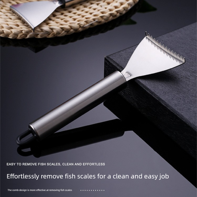 Set of 5 Stainless Steel Fish Scale Removers â€“ Food-Grade Heavy-Duty Fish Scaler Tools with Comfort Grip & Hanging Loop, for Fine & Coarse Scales, Kitchen Essential