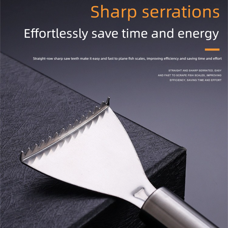 Set of 5 Stainless Steel Fish Scale Removers â€“ Food-Grade Heavy-Duty Fish Scaler Tools with Comfort Grip & Hanging Loop, for Fine & Coarse Scales, Kitchen Essential