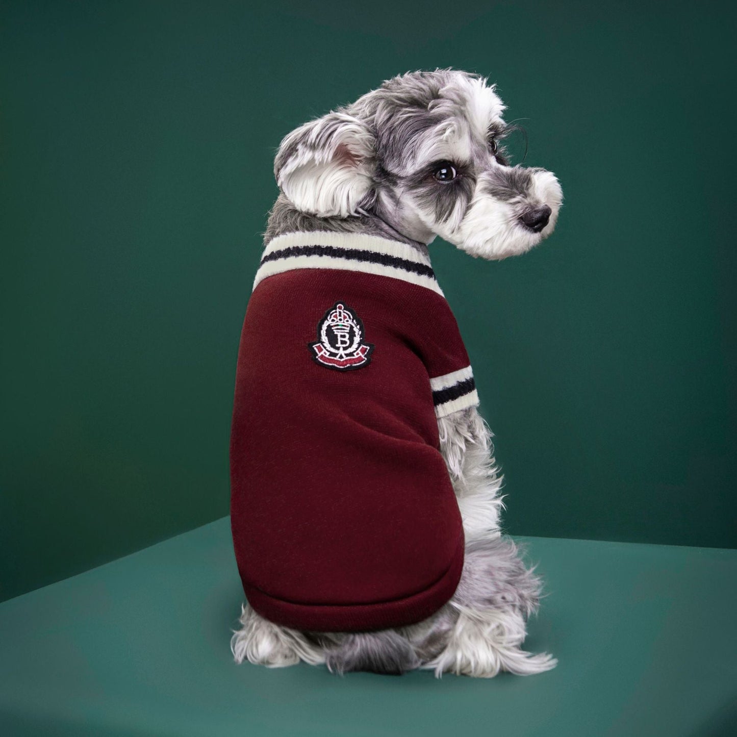 4-Pack M Size Preppy Style V-Neck Knitted Cotton Pet Sweater - Hair-Resistant & Breathable, Classic Fleece-Lined Pullover for Cats and Dogs(Green + Red + Khaki + Grey)