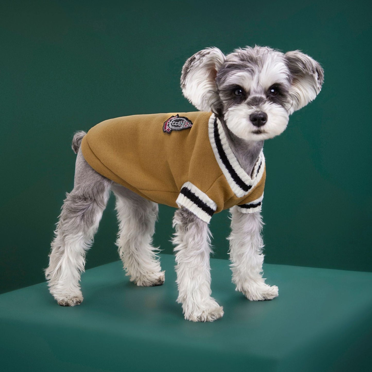 4-Pack M Size Preppy Style V-Neck Knitted Cotton Pet Sweater - Hair-Resistant & Breathable, Classic Fleece-Lined Pullover for Cats and Dogs(Green + Red + Khaki + Grey)