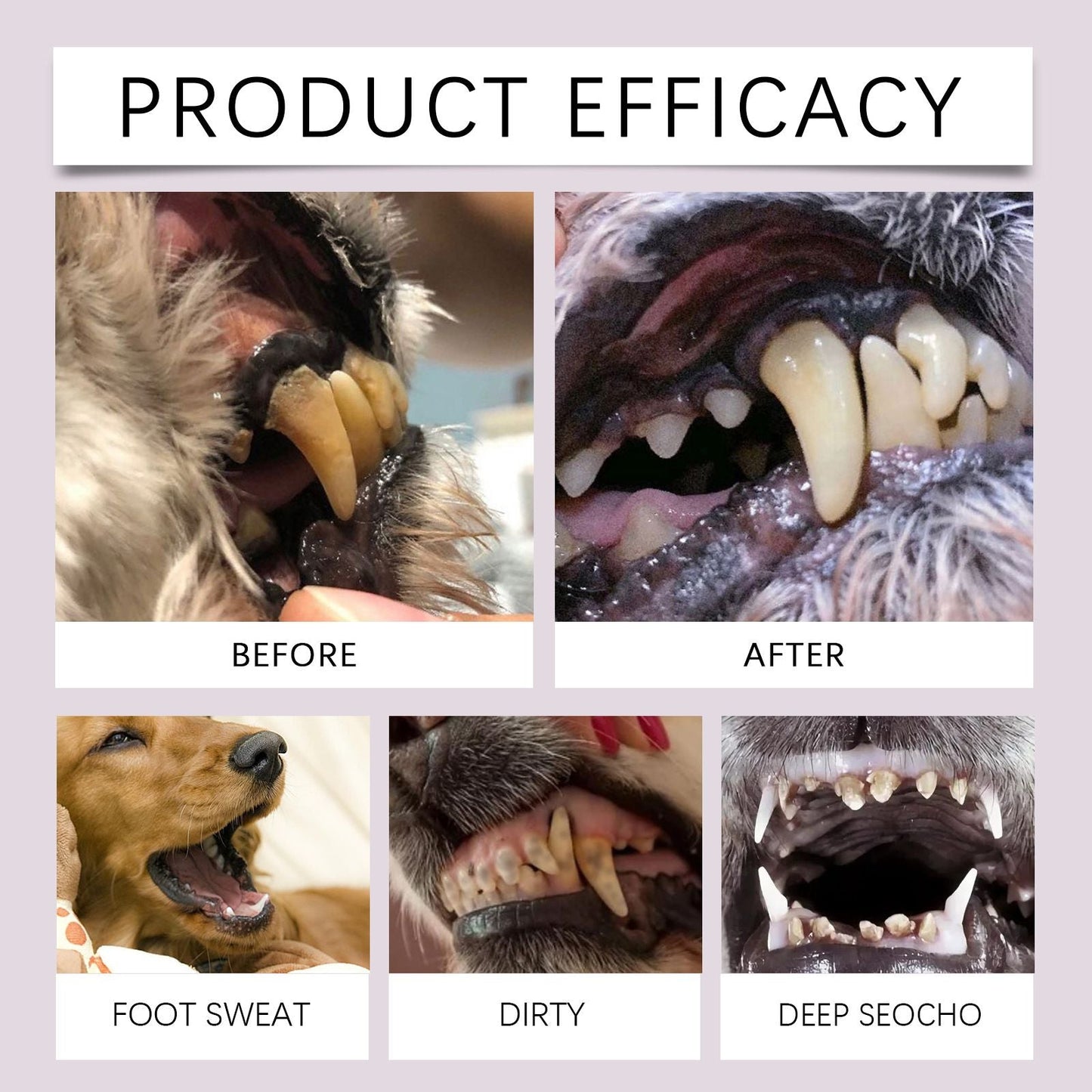 2-Pack Professional Pet Dental Cleaning Pens - Gentle Plaque & Tartar Remover and Breath Freshener for Dogs and Cats
