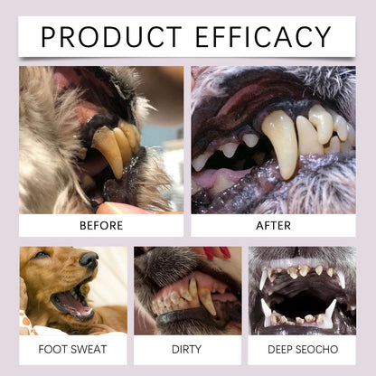 2-Pack Professional Pet Dental Cleaning Pens - Gentle Plaque & Tartar Remover and Breath Freshener for Dogs and Cats