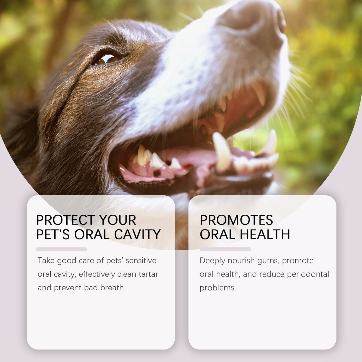 2-Pack Professional Pet Dental Cleaning Pens - Gentle Plaque & Tartar Remover and Breath Freshener for Dogs and Cats