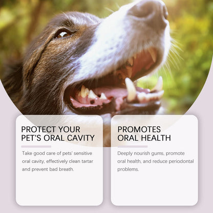 2-Pack Professional Pet Dental Cleaning Pens - Gentle Plaque & Tartar Remover and Breath Freshener for Dogs and Cats