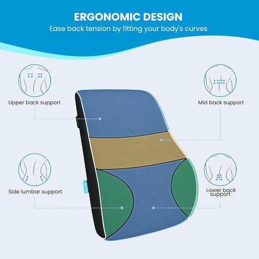 Black Large Ergonomic Memory Foam Lumbar Support Pillow & S Curve High-Back Cusion with Buckle Strap & Breathable Mesh Cover