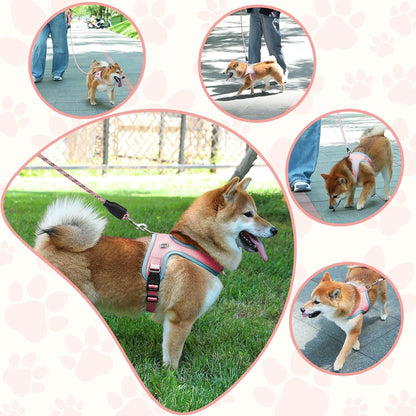 XS Size Blue Waterproof Reflective Saddle-Style Dog Harness & 1.5M Leash Set - Breathable Anti-Choke Escape-Proof Step-In Walking Gear
