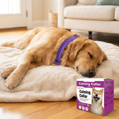 Purple Pet Calming Collar 4 Pack (38cm) - Waterproof Silicone Cat Collar Custom Fit for All Breeds - Anxiety Relief & Stress Reduction