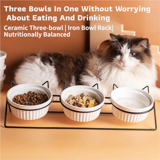 Triple Slanted Ceramic Pet Bowl Set with Elevated Iron Stand and Non Slip Base - 3 x 300ML Versatile Pink Cat Paw Print Pattern Dishes for Water & Food