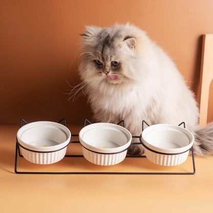 Triple Slanted Ceramic Pet Bowl Set with Elevated Iron Stand and Non Slip Base - 3 x 300ML Versatile Pink Cat Paw Print Pattern Dishes for Water & Food