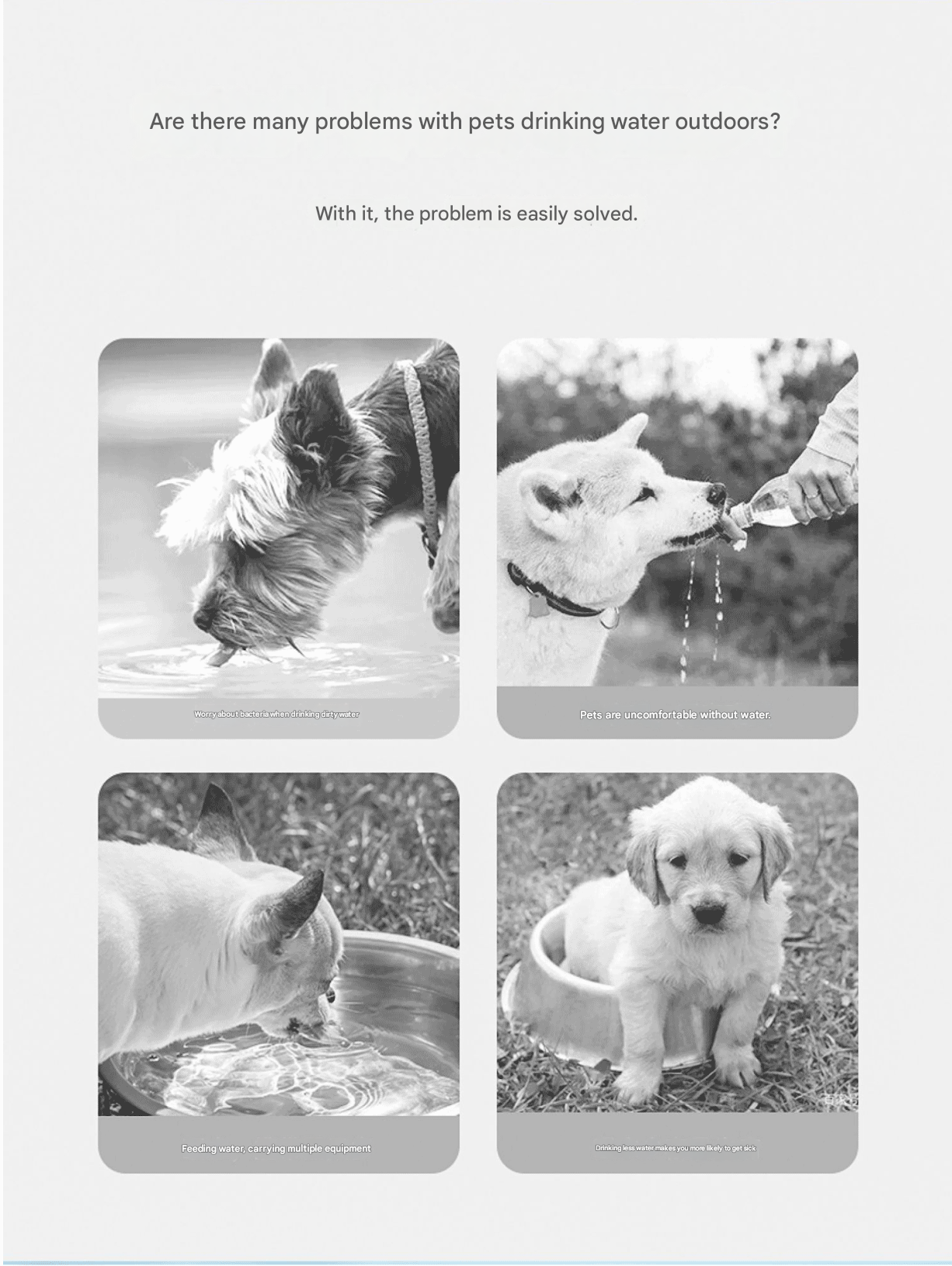 Yellow  Portable Dog Water Bottle with Food Container - 2-in-1 Leak-Proof Pet Travel Water Dispenser, Cloud-Shaped Drinking Bowl, Twist-to-Dispense Design, BPA-Free HIPS/PET Material for Walking Hiking Travel