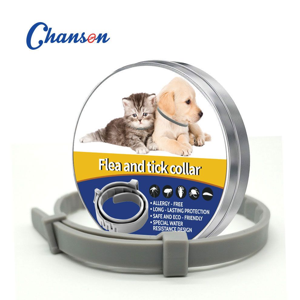 Grey 62cm Adjustable Flea and Tick Collar for Dogs and Cats - 8 Month Protection, Waterproof TPR Design with Safety Release - Repels Fleas, Ticks, and Mosquitoes for Small to Large Pets