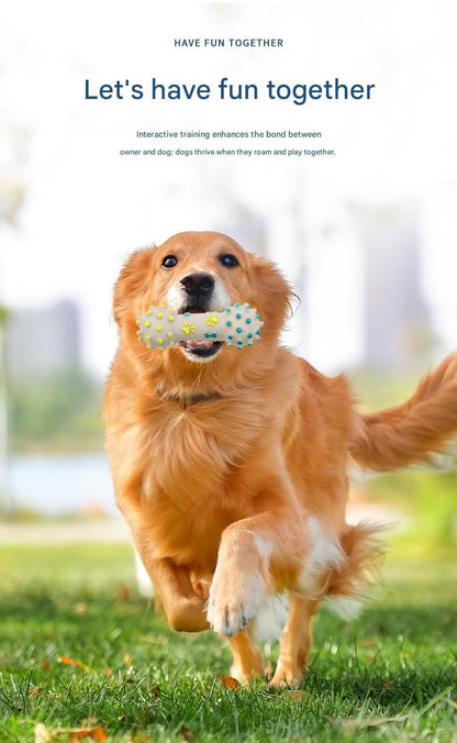 Yellow and Blue Spiked ring barbell Durable TPR Dog Chew Toys Set -  for Teeth Cleaning - Non-Toxic, Bite-Resistant, Easy Clean - Interactive Play for Medium to Large Dogs