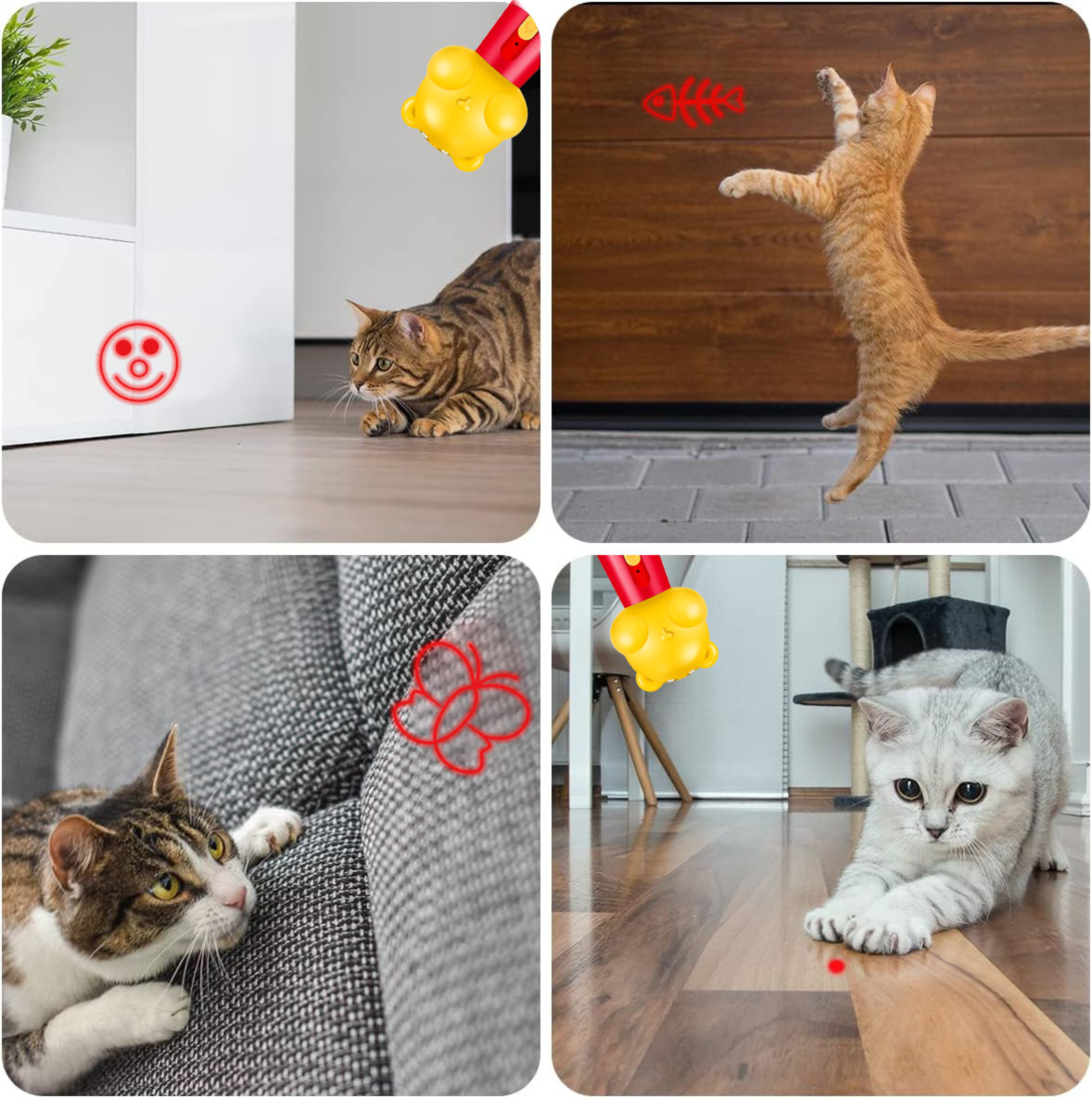 Yellow Bear Laser Cat Toy Set - 2 Piece USB Rechargeable Multi Pattern Laser Pointer with UV and White Light for Cats
