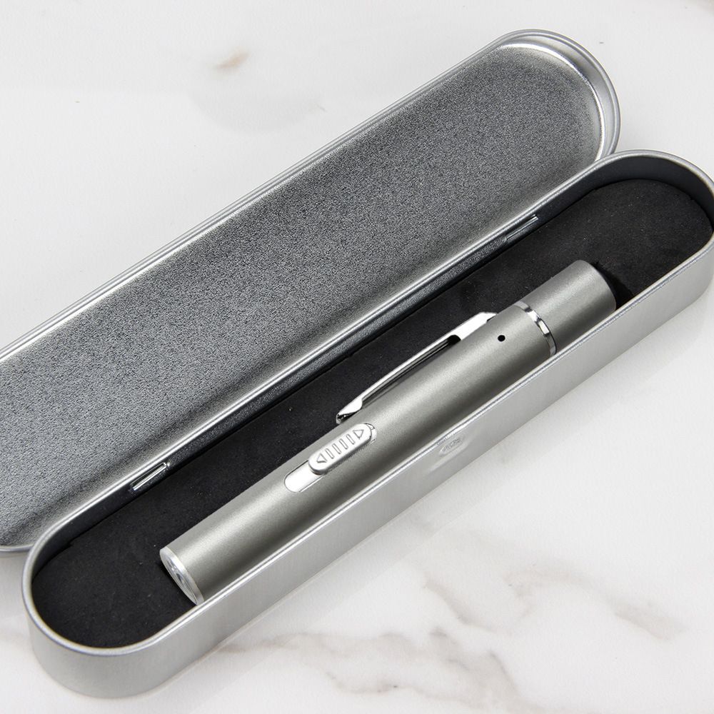 Grey and black Metal Laser Cat Toy Pen Set - 2 Piece USB Rechargeable 3-in-1 Laser Pointer with UV Light and LED Torch in Gift Tin Box