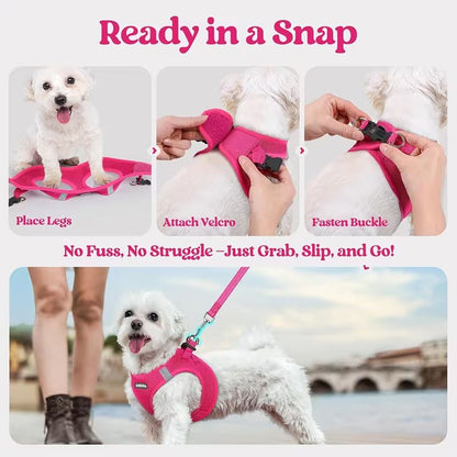 Black Breathable Dog Harness and Leash Set - Adjustable Reflective Pet Vest with Swivel Clip(Size: XS)