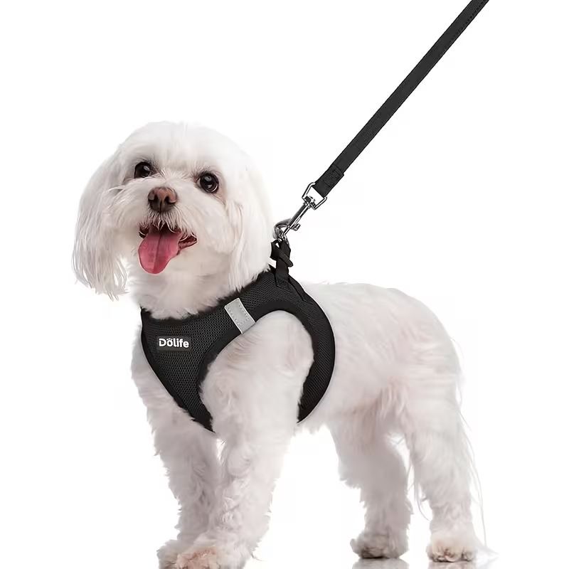 Black Breathable Dog Harness and Leash Set - Adjustable Reflective Pet Vest with Swivel Clip(Size: S)