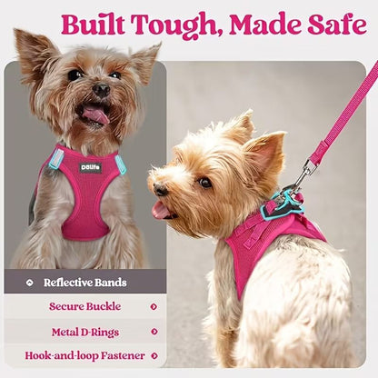 Black Breathable Dog Harness and Leash Set - Adjustable Reflective Pet Vest with Swivel Clip(Size: L)