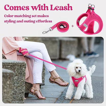 Blue Breathable Dog Harness and Leash Set - Adjustable Reflective Pet Vest with Swivel Clip(Size: XS)