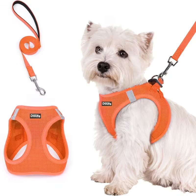Orange Breathable Dog Harness and Leash Set - Adjustable Reflective Pet Vest with Swivel Clip(Size: XS)