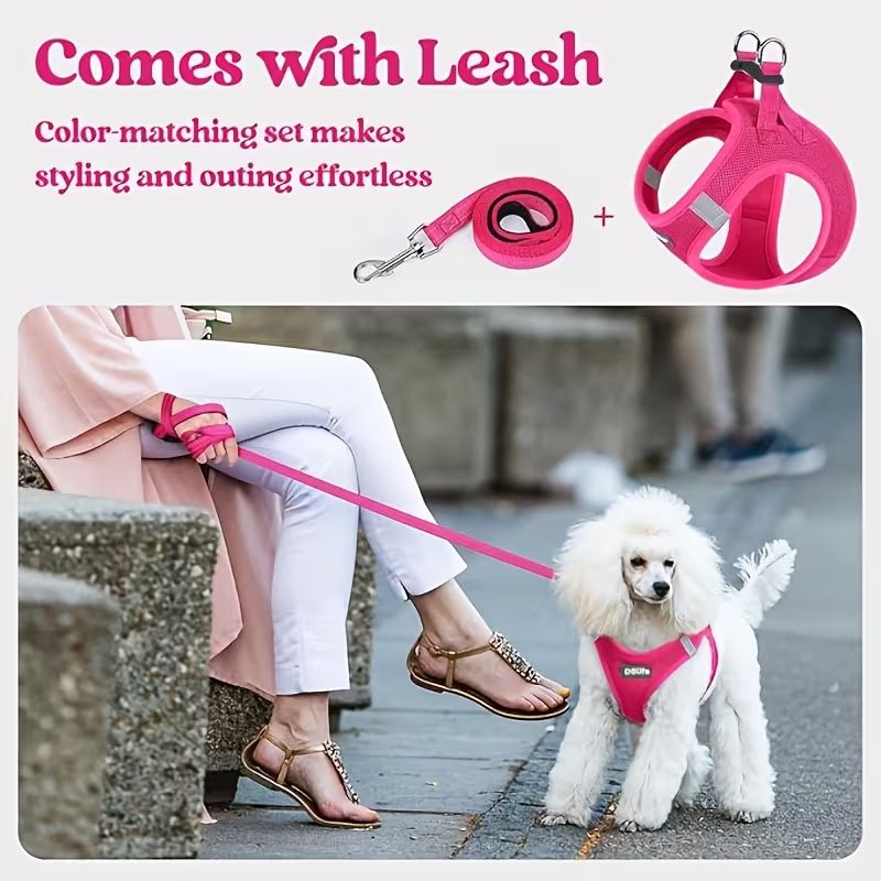 Orange Breathable Dog Harness and Leash Set - Adjustable Reflective Pet Vest with Swivel Clip(Size: XS)
