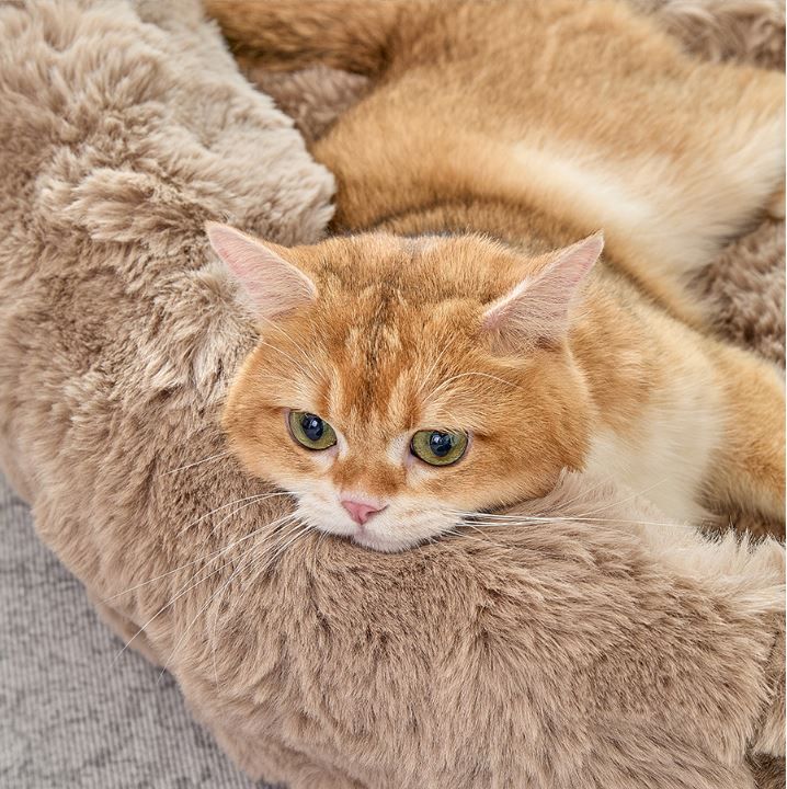 Brown Bubble Plush Pet Sofa Bed with Removable Cushion M Size 70*55*23 cm – Ultra-Soft Winter Thickened Warm Pet Nest with Raised Bolster Edges, Washable Plush Cover and Non-Slip Base, Cozy and Soft Sleeping Space for Dog & Cat Home Use