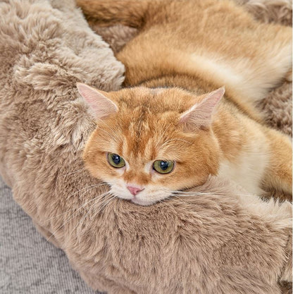 Brown Bubble Plush Pet Sofa Bed with Removable Cushion M Size 70*55*23 cm – Ultra-Soft Winter Thickened Warm Pet Nest with Raised Bolster Edges, Washable Plush Cover and Non-Slip Base, Cozy and Soft Sleeping Space for Dog & Cat Home Use