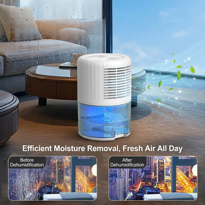 Black Portable Home Quiet Mini Dehumidifier - 2L Large Visible Water Tank, 7-Color Sleep Aid Night Light, Air Purification, Auto Shut-Off and 40W Low Power for Bedroom Studies and Closet (5â€“70mÂ²)